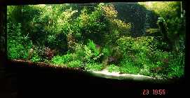 DSC00034.jpg