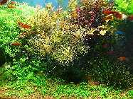 P1010189-2.jpg