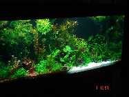 DSC00072.jpg