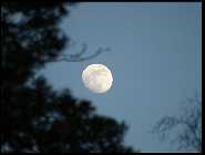 mond 1.jpg