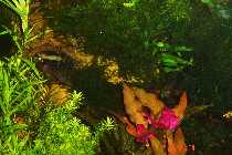 DSC00180.jpg