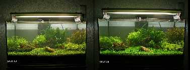 24.03.08_03.04.08.jpg