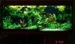 DSC00249.jpg