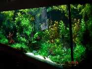 DSC00252.jpg