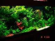 DSC00005.jpg