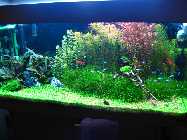 aqua17,4,09 001.jpg