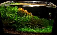 Bild 003a (Custom).jpg