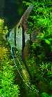DSC00025.jpg
