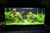 11.04.08 250 liter 004_(800_x_600).jpg