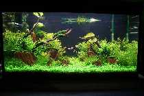 11.04.08 250 liter 011_(800_x_600).jpg