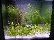 DSCF0068.jpg