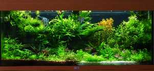 Test 005.jpg
