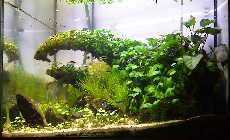 200L-09-10.jpg