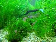 DSC01010a.jpg
