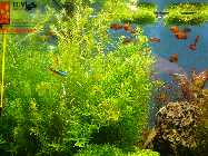 P1000455.jpg