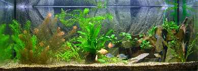_Aquarium, Simone-0072.jpg