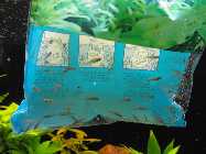 DSCF6001.jpg