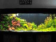 DSCF6002.jpg