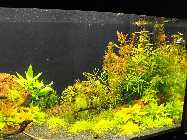 DSCF6006.jpg