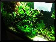 13_09_09_linke_seite.jpg