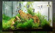 200L-09-15.jpg
