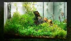 200L-09-16.jpg