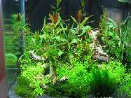 IMG_1116_1.jpg