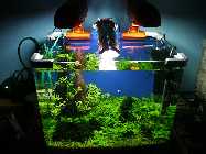 PICT0034.jpg