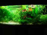 DSC01111a.jpg