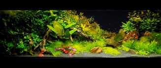 DSCF6267.jpg