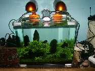 PICT0001.jpg