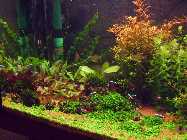 aquaforum 006.jpg