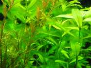 DSC00159.jpg
