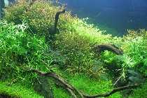 06.02.10 003_(1024_x_768).jpg