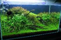 06.02.10 015_(1024_x_768).jpg