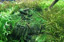 02.03.10 011_(1024_x_768).jpg