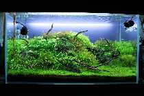 06.03.10 003_(1024_x_768).jpg