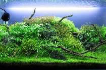 06.03.10 013_(1024_x_768).jpg