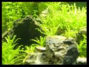 BILD0023 [50%] [50%].jpg