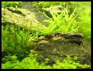 BILD0035 [50%] [50%].jpg
