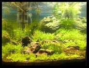 BILD0013 [50%] [50%] [50%].jpg