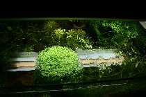 23.04.08 daskleine 008_(800_x_600).jpg