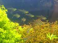 24.03.10 008_(1024_x_768).jpg