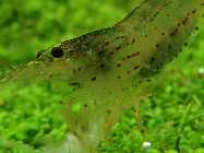 05.04.10 015_(1024_x_768).jpg