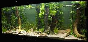 Becken-Umbau 10.04.10_24.jpg