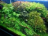 13.04.10 034_(800_x_600).jpg