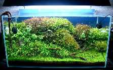 13.04.10 019_(800_x_600).jpg