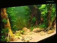 Becken-Umbau 20.04.10_23.jpg