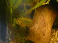 Bild 206.jpg