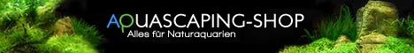 Banner Aquascaping-Shop